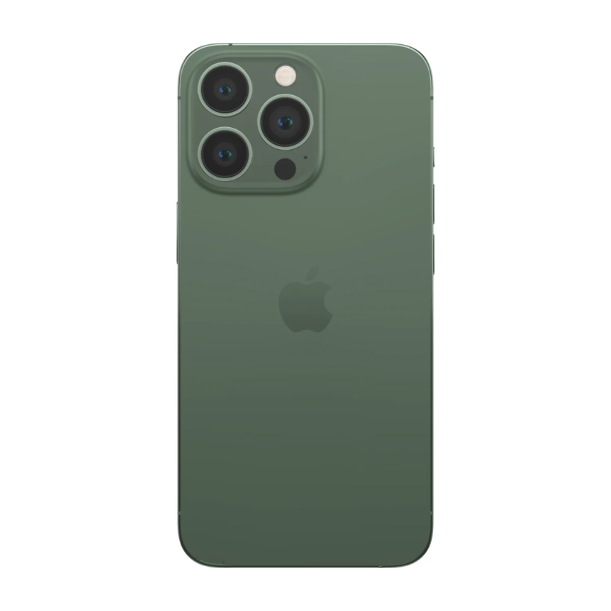 Non-Active iPhone 13 Pro 128GB (100% Battery) - Dual Physical SIM 128GB - Alpine Green | Apple